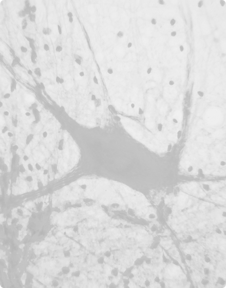 tissue array